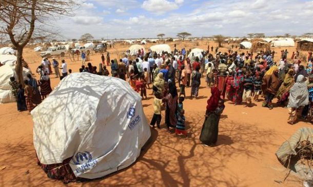 Dadaab